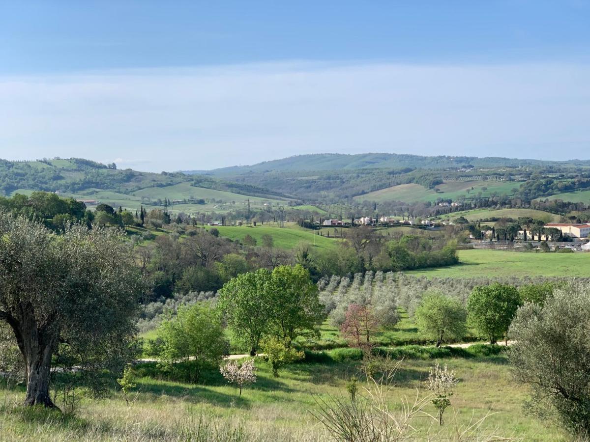 Casale Terre Rosse Garden Bed and Breakfast Saturnia Eksteriør billede