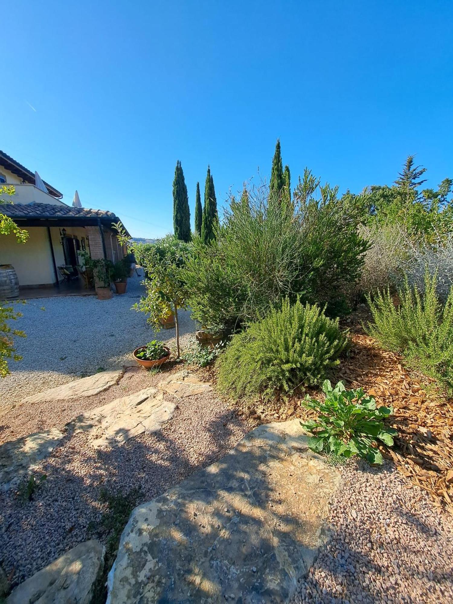 Casale Terre Rosse Garden Bed and Breakfast Saturnia Eksteriør billede