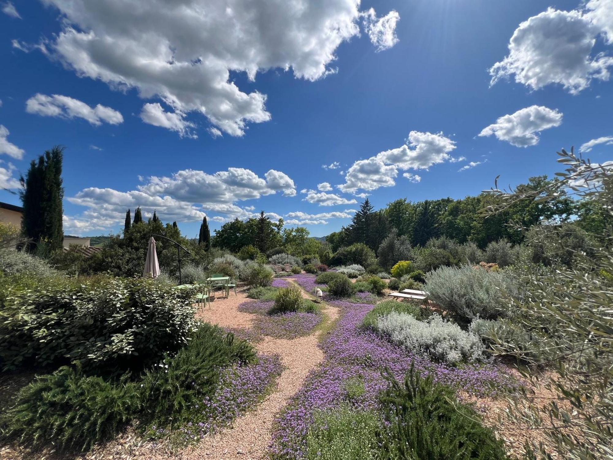 Casale Terre Rosse Garden Bed and Breakfast Saturnia Eksteriør billede