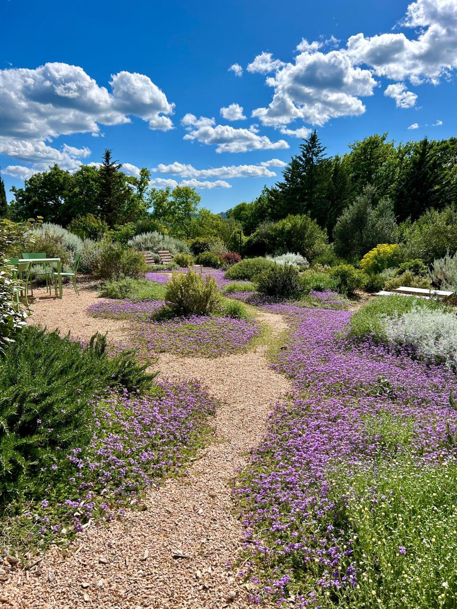Casale Terre Rosse Garden Bed and Breakfast Saturnia Eksteriør billede