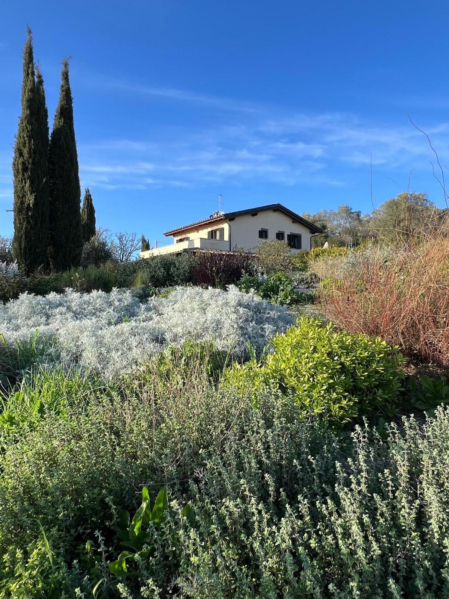 Casale Terre Rosse Garden Bed and Breakfast Saturnia Eksteriør billede