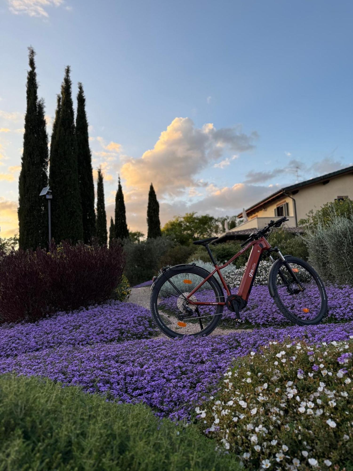 Casale Terre Rosse Garden Bed and Breakfast Saturnia Eksteriør billede